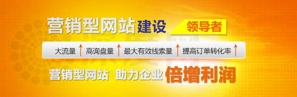 深度網(wǎng)營銷型建設(shè)領(lǐng)導(dǎo)者
